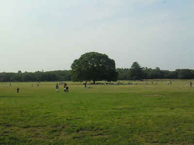 昭和記念公園のみんなの原っぱ